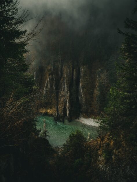 A waterfall in the middle of a forest