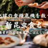 地球の食糧危機を救う新昆虫食と宇宙農業がつくる未来のごはんしい食の形